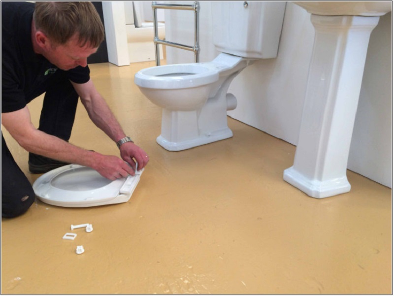 Adjust a Toilet Seat 2